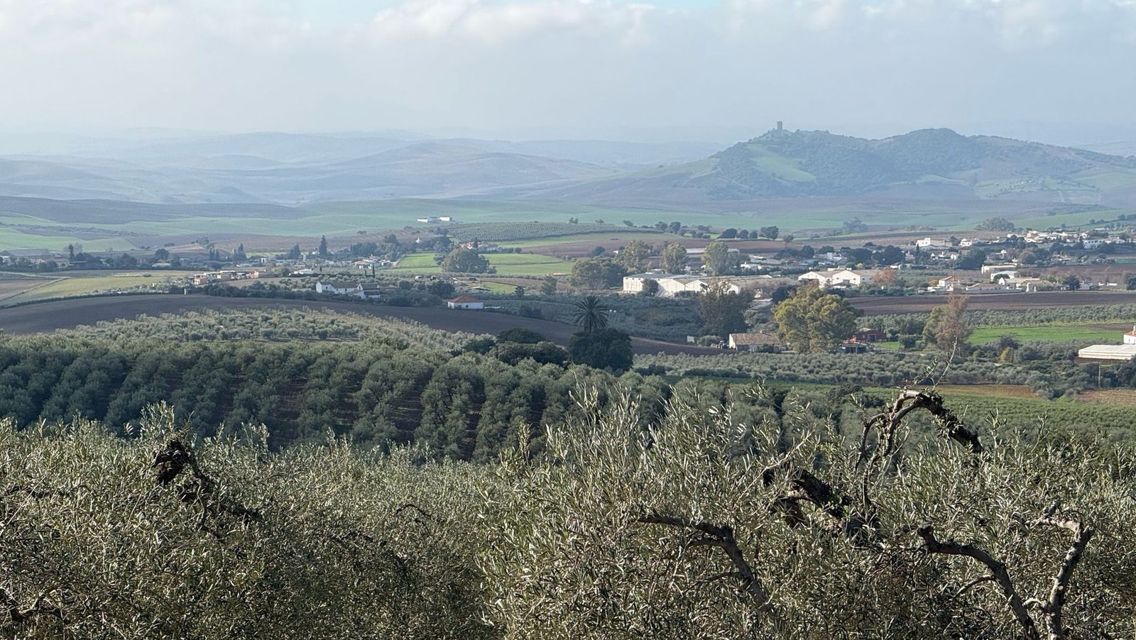 Olivares de Montellano descendiendo hacia las colinas y el castillo de Cote